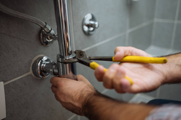 Best Faucet Repair  in Homeland Park, SC