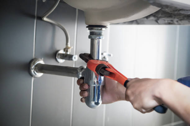 Best Drain Cleaning Services  in Homeland Park, SC